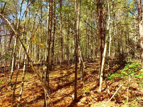 8836 Jacob Fork River Rd, Vale, NC 28168 photo 27
