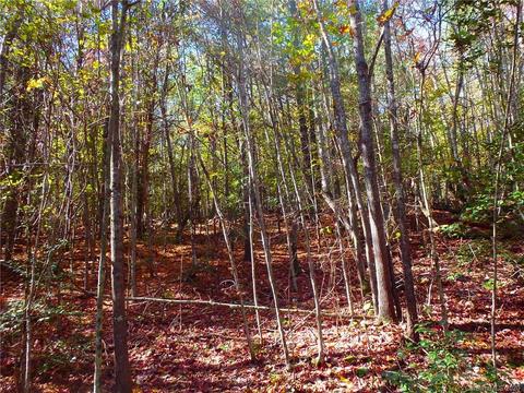 8836 Jacob Fork River Rd, Vale, NC 28168 photo 24