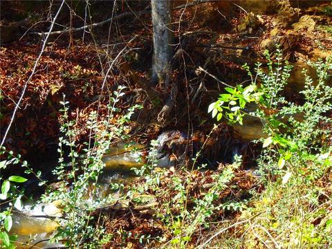 8836 Jacob Fork River Rd, Vale, NC 28168 photo 21