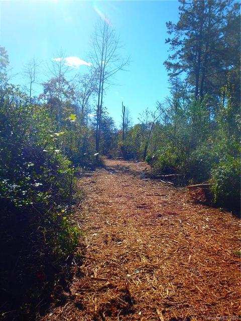 8836 Jacob Fork River Rd, Vale, NC 28168 photo 34