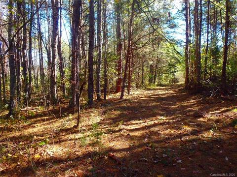 8836 Jacob Fork River Rd, Vale, NC 28168 photo 31