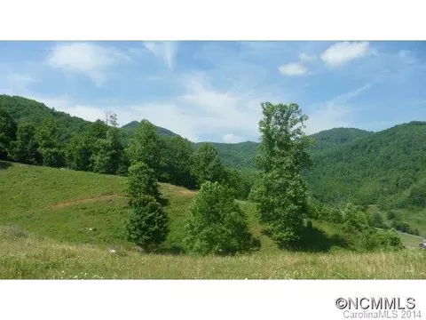 1861 S Fork Rd, Marshall, NC 28753 photo 6