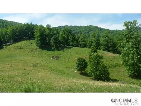 1861 S Fork Rd, Marshall, NC 28753 photo 1