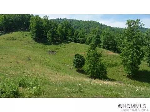 1861 S Fork Rd, Marshall, NC 28753 photo 3