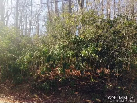 21 Pineview Rd, Fairview, NC 28730 photo 3