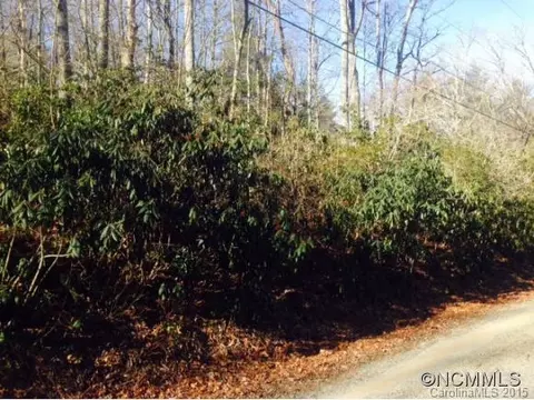 21 Pineview Rd, Fairview, NC 28730 photo 4