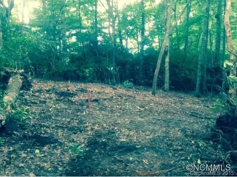 21 Pineview Rd, Fairview, NC 28730 photo 1