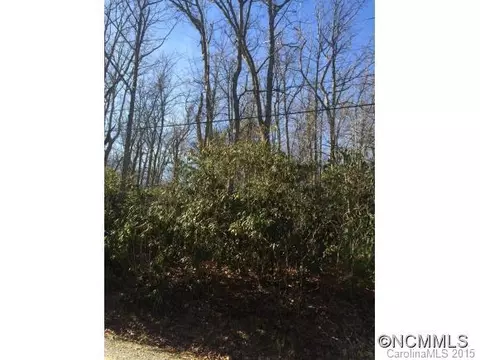 21 Pineview Rd, Fairview, NC 28730 photo 5