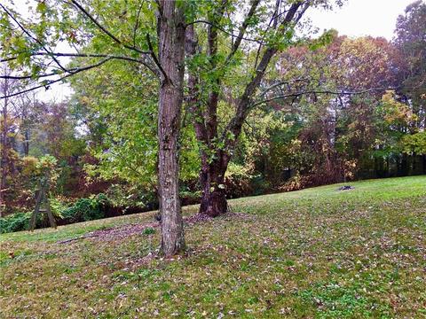111 Oak Pointe Dr, King, NC 27021 photo 5