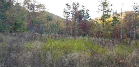178 Richardson Trl, Lowgap, NC 27024 photo 42
