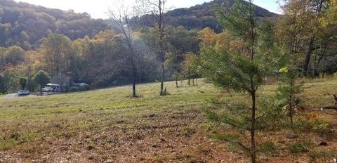 178 Richardson Trl, Lowgap, NC 27024 photo 22