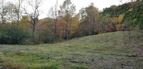 178 Richardson Trl, Lowgap, NC 27024 photo 45