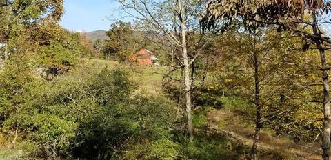 178 Richardson Trl, Lowgap, NC 27024 photo 40
