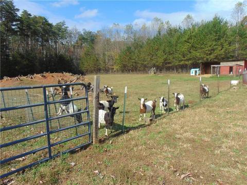 10690 Haystack Rd, Thurmond, NC 28683 photo 15