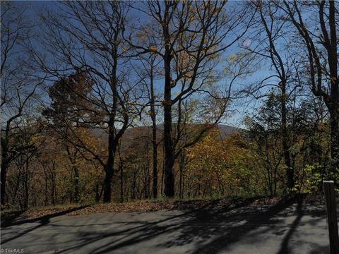 100 Northridge Ln, Beech Mountain, NC 28604 photo 2