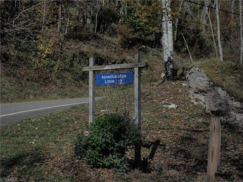 100 Northridge Ln, Beech Mountain, NC 28604 photo 3