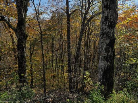 100 Northridge Ln, Beech Mountain, NC 28604 photo 4