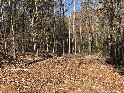 200 Abbott Ln, Lowgap, NC 27024 photo 11