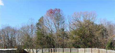 1133 Brown Rd, King, NC 27021 photo 14