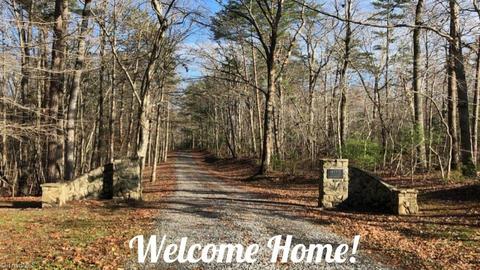405 Matthews Rd, Pilot Mountain, NC 27041 photo 1