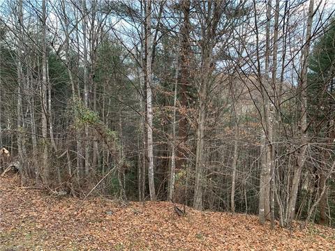 1033 Blackburn Hollow Rd, Purlear, NC 28665 photo 11