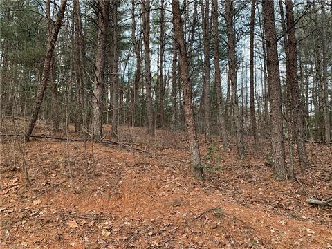 1033 Blackburn Hollow Rd, Purlear, NC 28665 photo 9