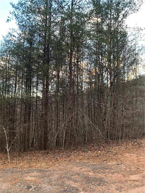 1033 Blackburn Hollow Rd, Purlear, NC 28665 photo 12