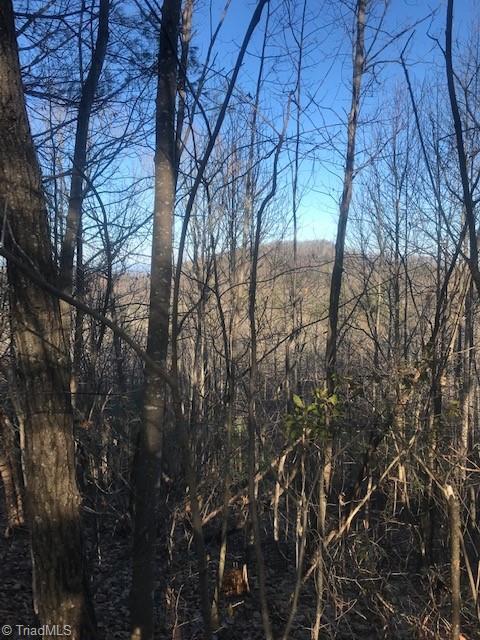 APT 20 Rosebrier Road, Boomer, NC 28606