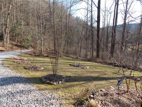 12156 W Us Highway 421, Purlear, NC 28665 photo 5