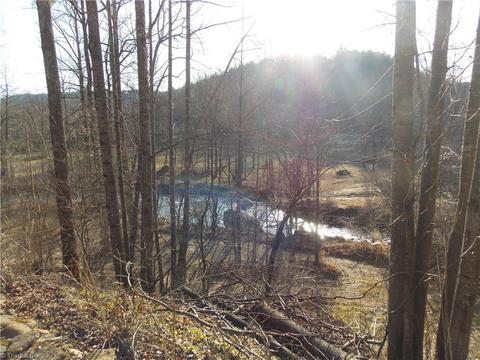 12156 W Us Highway 421, Purlear, NC 28665 photo 11