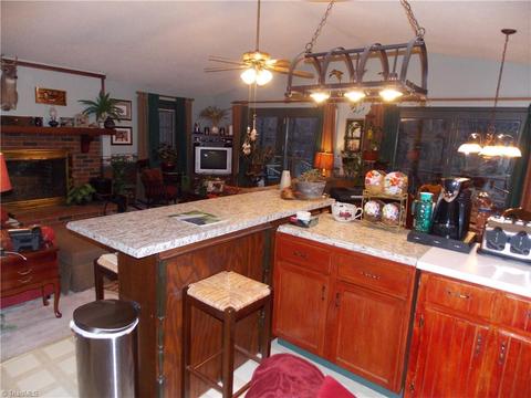 12156 W Us Highway 421, Purlear, NC 28665 photo 28