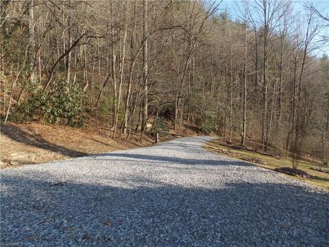 12156 W Us Highway 421, Purlear, NC 28665 photo 4