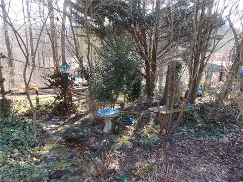 12156 W Us Highway 421, Purlear, NC 28665 photo 14