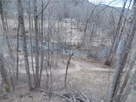 12156 W Us Highway 421, Purlear, NC 28665 photo 12