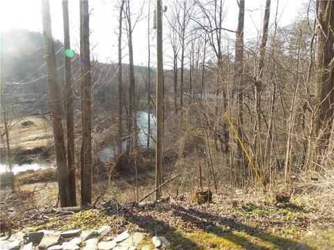 12156 W Us Highway 421, Purlear, NC 28665 photo 37