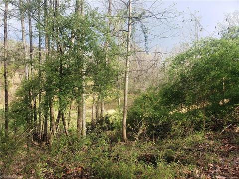 152 Davids Pl, Lowgap, NC 27024 photo 36