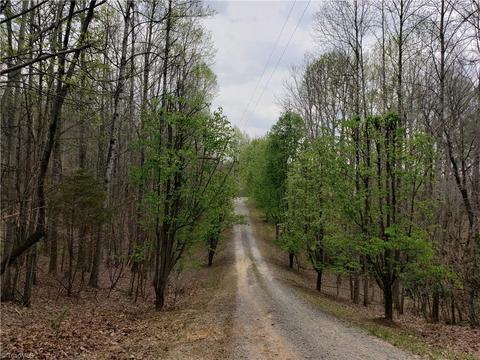 152 Davids Pl, Lowgap, NC 27024 photo 3