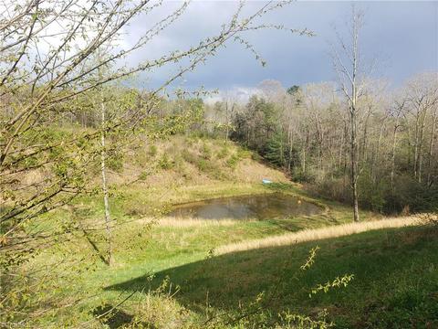 152 Davids Pl, Lowgap, NC 27024 photo 4