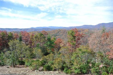 4661 Staghorn Rd, Purlear, NC 28665 photo 9