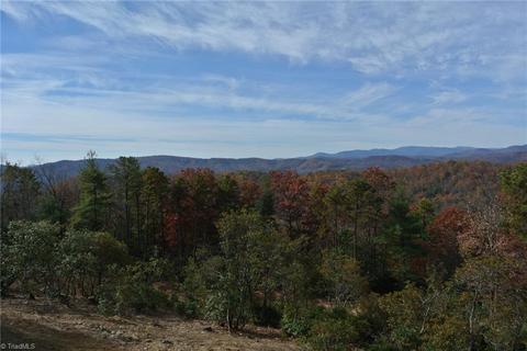 4661 Staghorn Rd, Purlear, NC 28665 photo 8