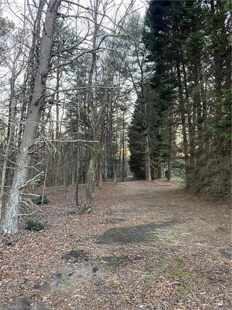 177 Marshall Smith Rd, Colfax, NC 27235 photo 1