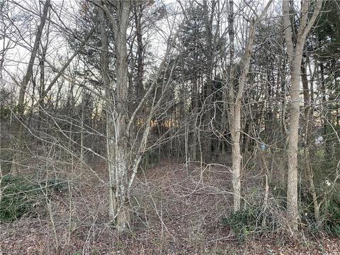 177 Marshall Smith Rd, Colfax, NC 27235 photo 2