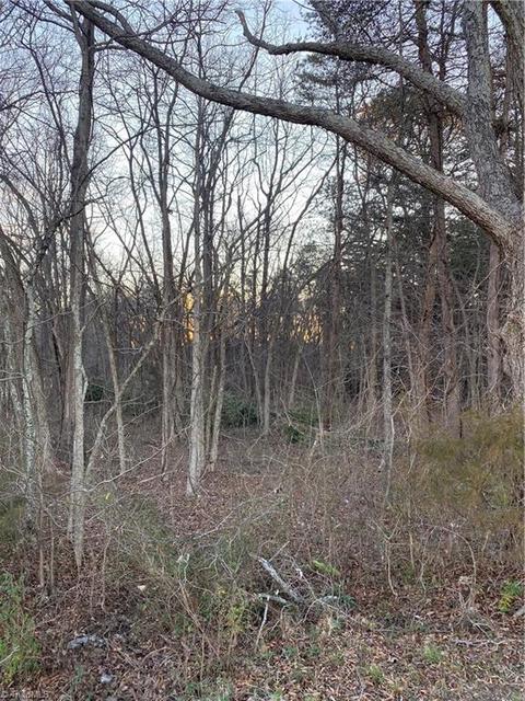 177 Marshall Smith Rd, Colfax, NC 27235 photo 3