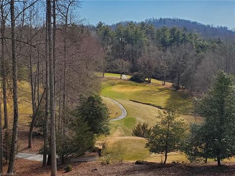 299 Fairview Dr, Traphill, NC 28685 photo 10