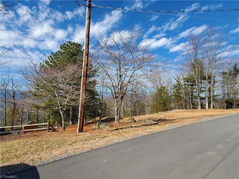 299 Fairview Dr, Traphill, NC 28685 photo 49