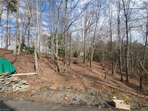 299 Fairview Dr, Traphill, NC 28685 photo 46
