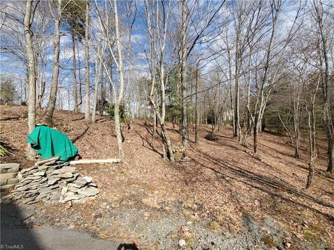 299 Fairview Dr, Traphill, NC 28685 photo 47