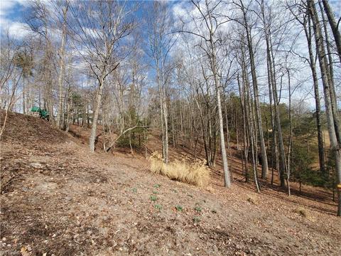 299 Fairview Dr, Traphill, NC 28685 photo 43