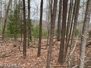 131 View Point Dr, Traphill, NC 28685 photo 1