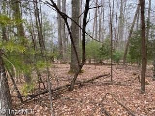 131 View Point Dr, Traphill, NC 28685 photo 2